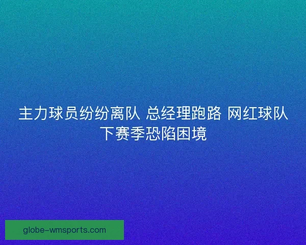 主力球员纷纷离队 总经理跑路 网红球队下赛季恐陷困境